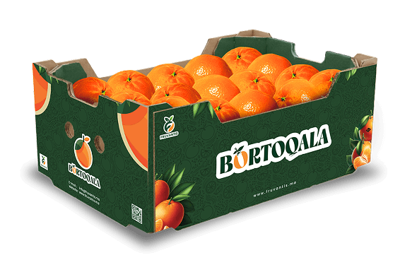 Orange Box